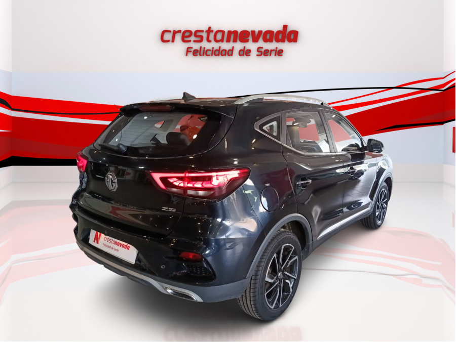 Imagen de Mg ZS
