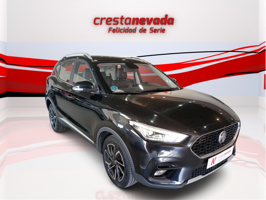 Imagen de Mg ZS