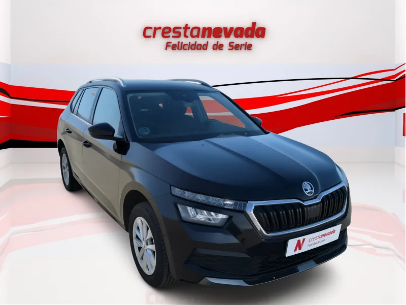 Imagen de Skoda Kamiq