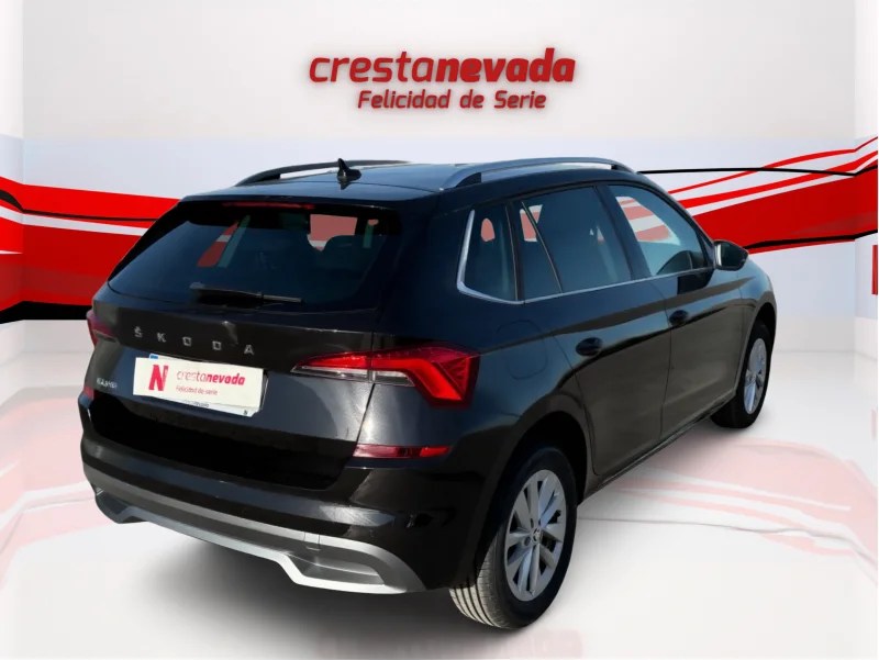 Imagen de Skoda Kamiq