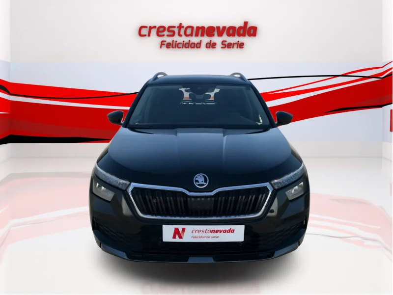 Imagen de Skoda Kamiq