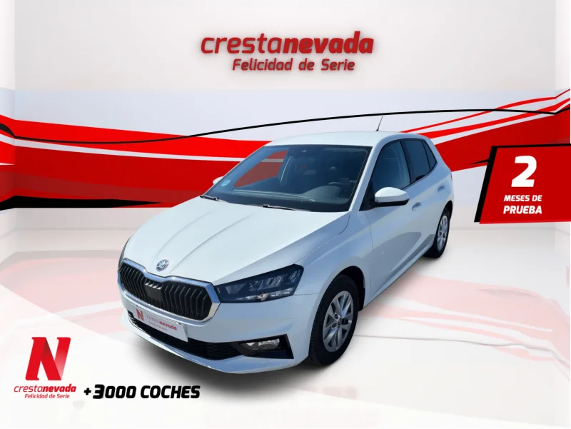 Imagen de Skoda Fabia