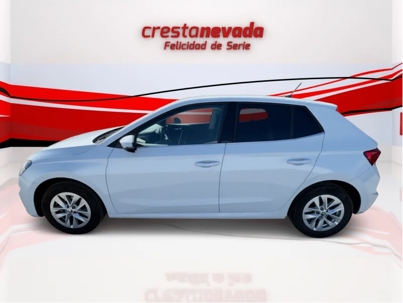 Imagen de Skoda Fabia