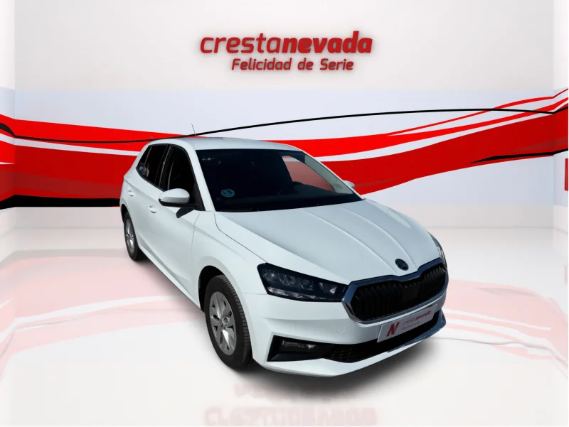 Imagen de Skoda Fabia