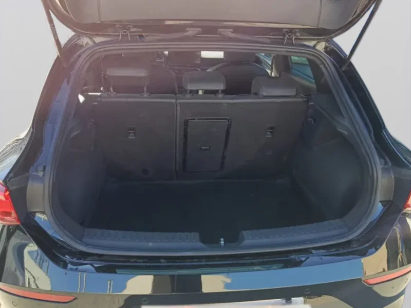 Imagen de cupra León