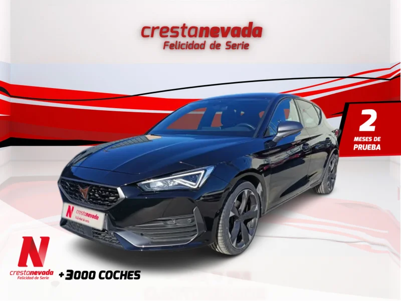 Imagen de cupra León