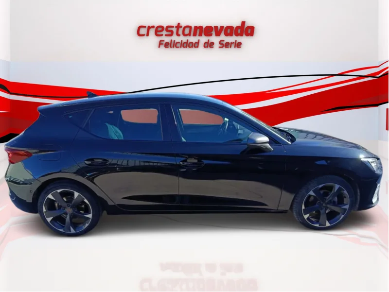 Imagen de cupra León