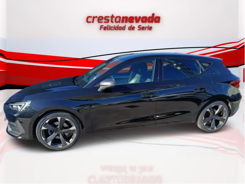 Imagen de cupra León