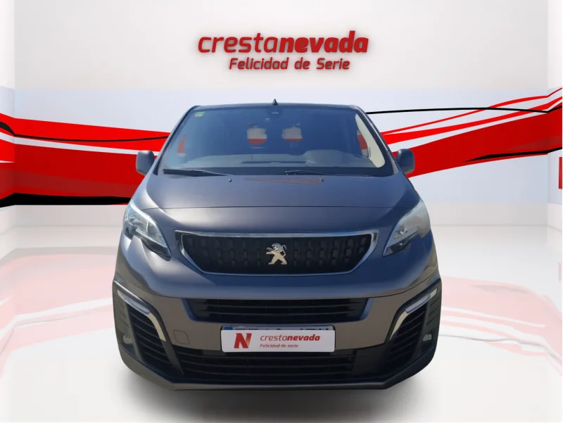 Imagen de Peugeot Traveller