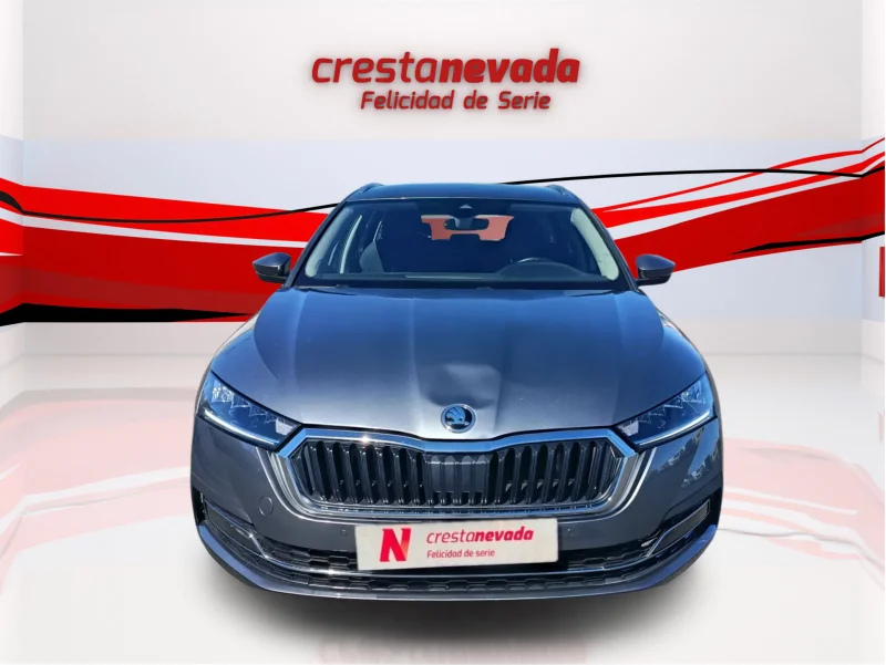 Imagen de Skoda Octavia