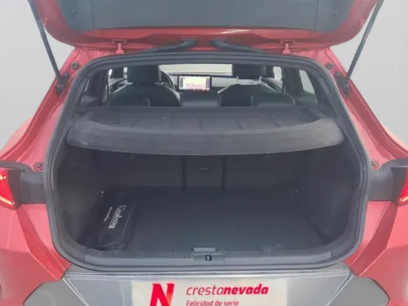 Imagen de cupra Formentor