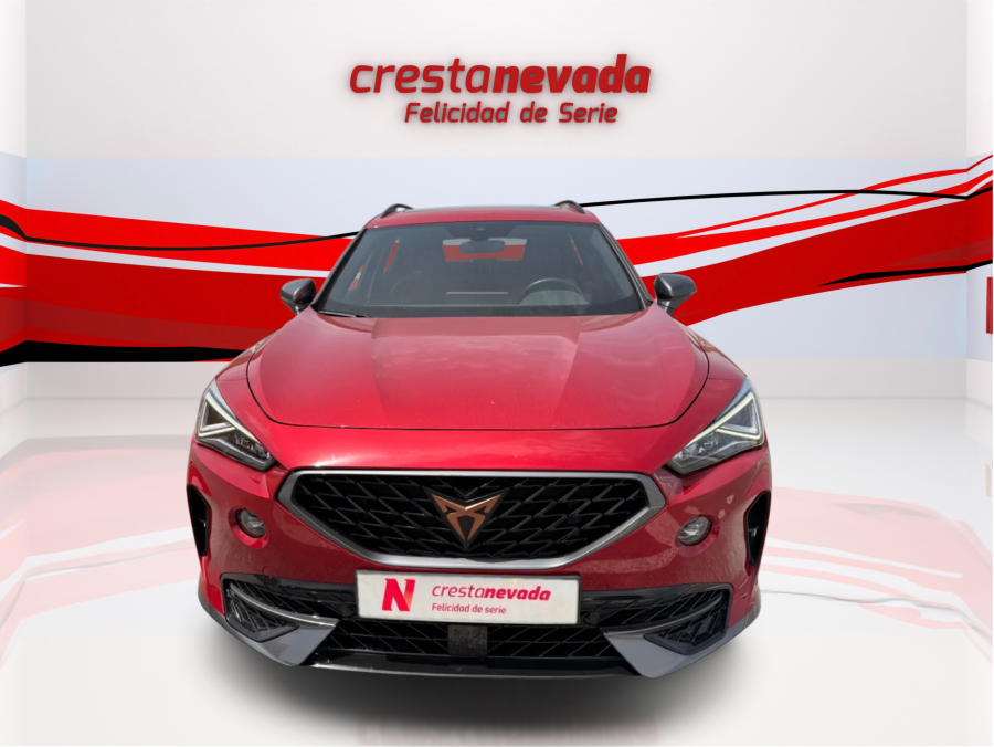Imagen de cupra Formentor