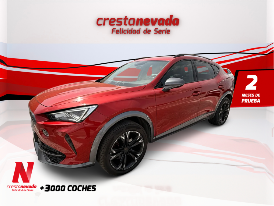 Imagen de cupra Formentor