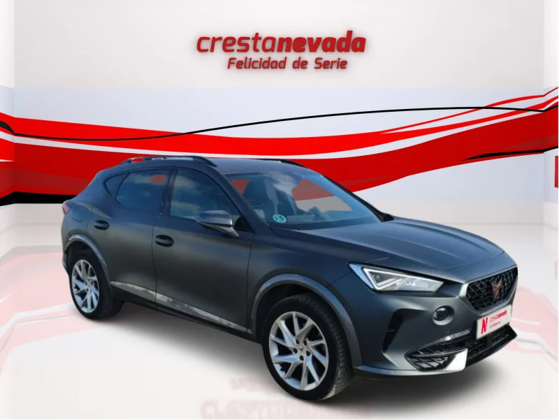 Imagen de cupra Formentor