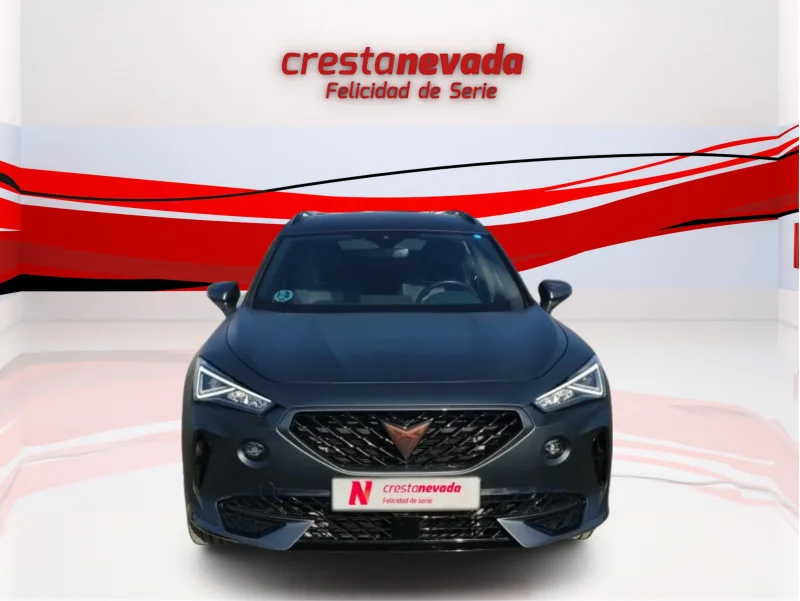 Imagen de cupra Formentor