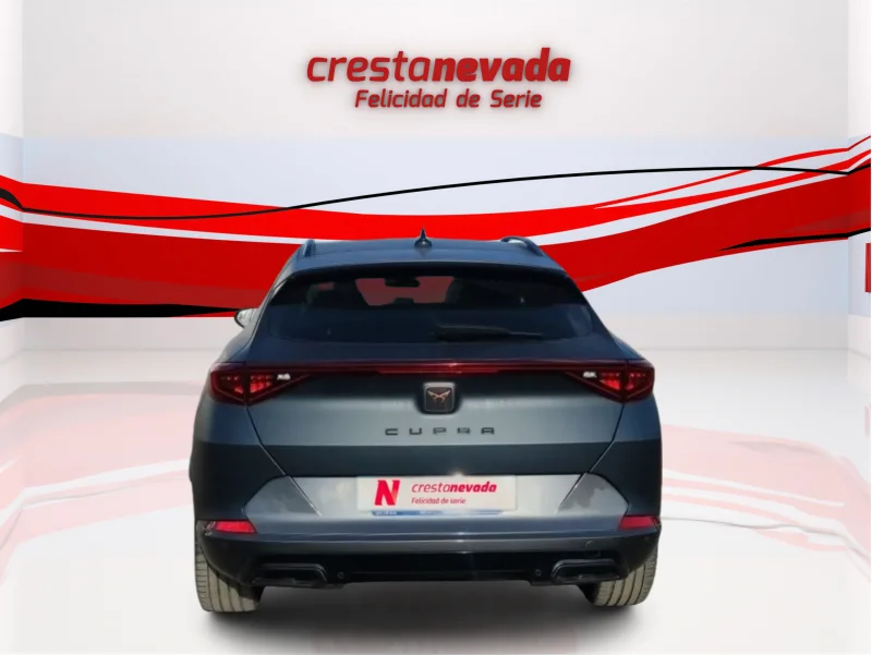 Imagen de cupra Formentor