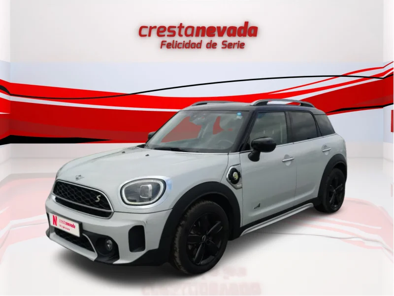 Imagen de Mini Countryman