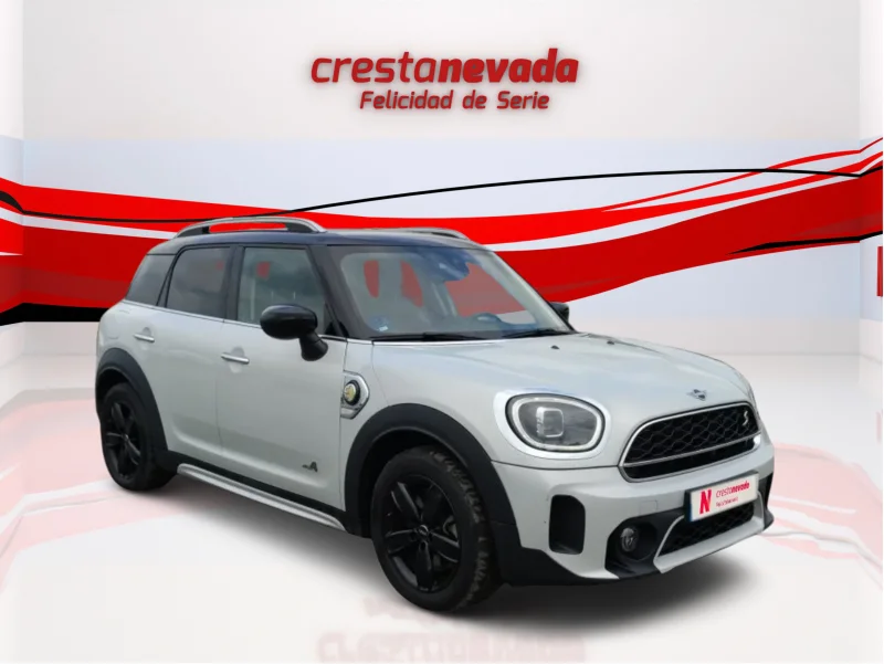 Imagen de Mini Countryman