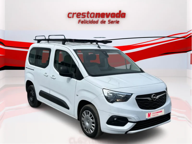 Imagen de Opel Combo Cargo
