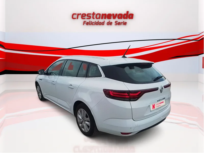 Imagen de Renault Mégane