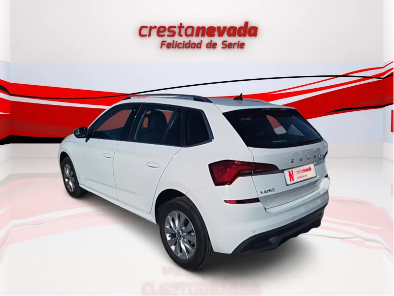 Imagen de Skoda Kamiq