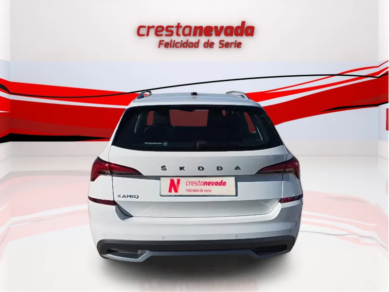 Imagen de Skoda Kamiq