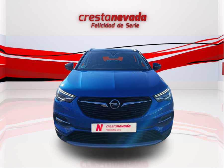 Imagen de Opel Grandland X