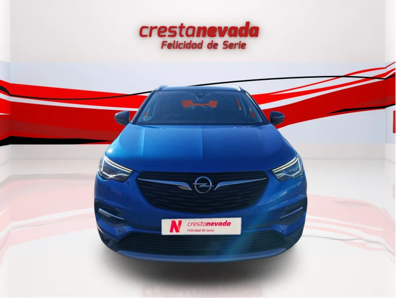 Imagen de Opel Grandland X