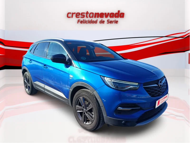 Imagen de Opel Grandland X