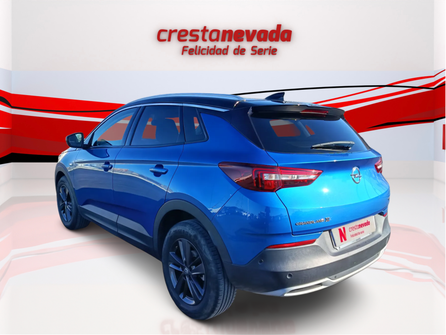 Imagen de Opel Grandland X