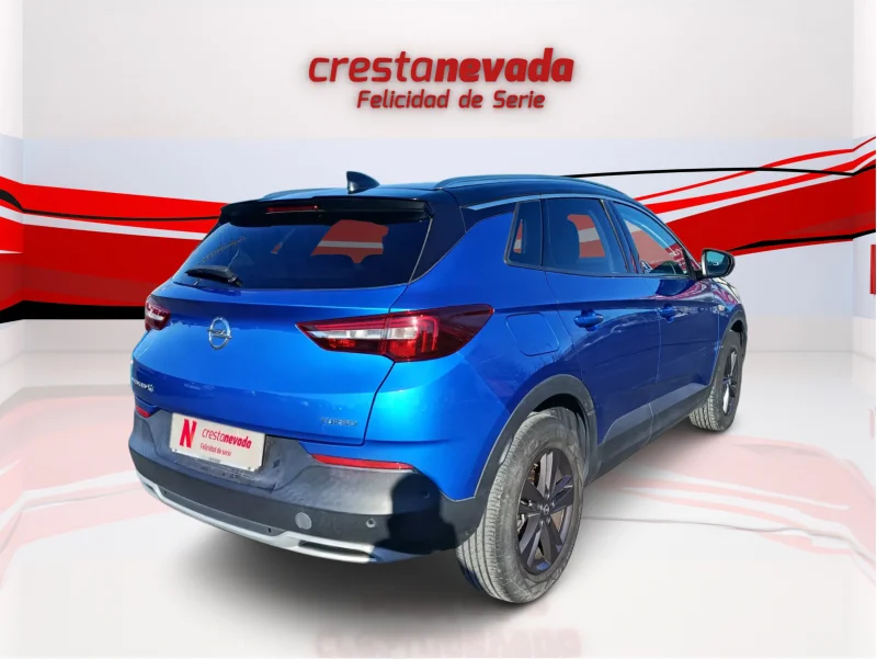 Imagen de Opel Grandland X