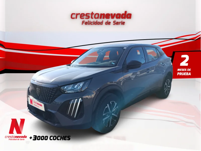 Imagen de Peugeot 2008