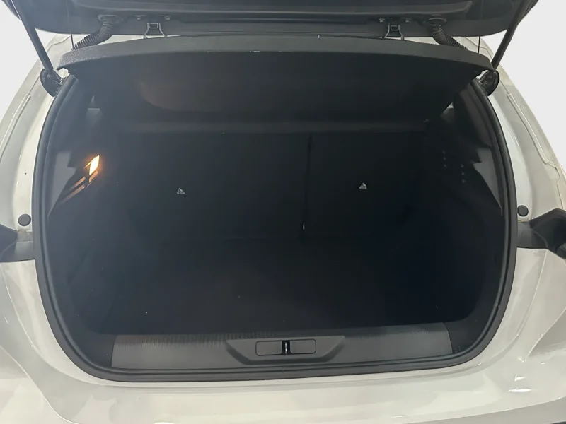 Imagen de Peugeot 308