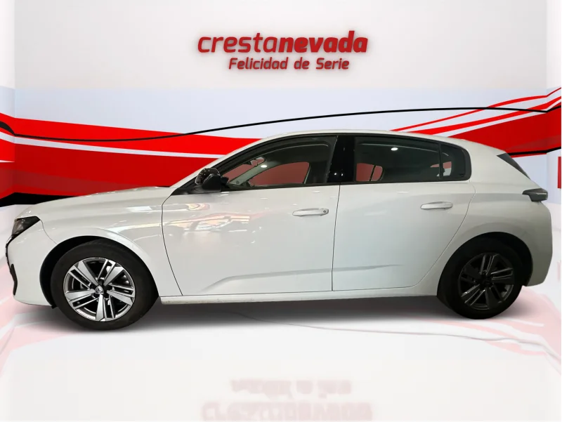 Imagen de Peugeot 308