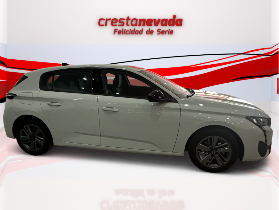 Imagen de Peugeot 308