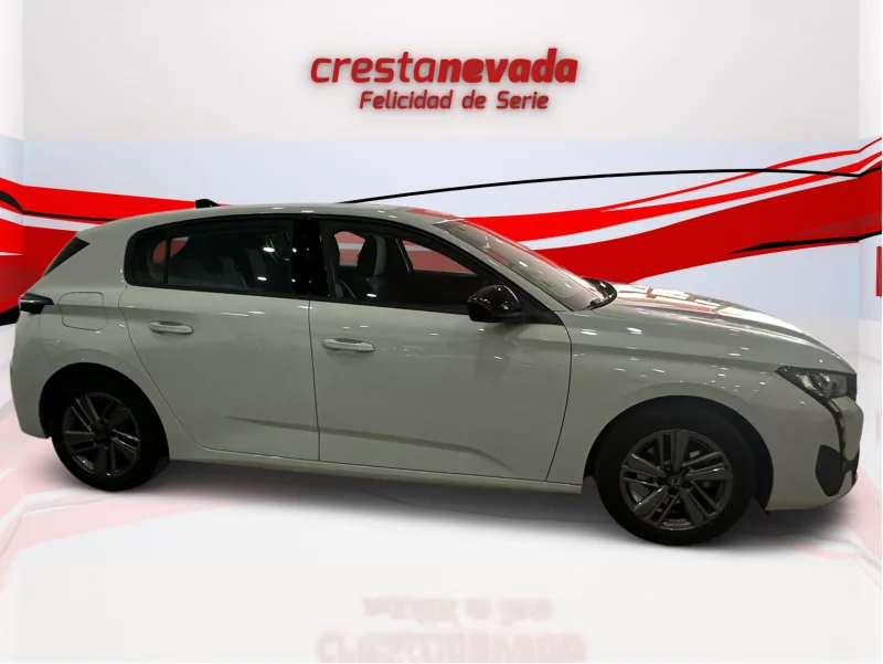 Imagen de Peugeot 308