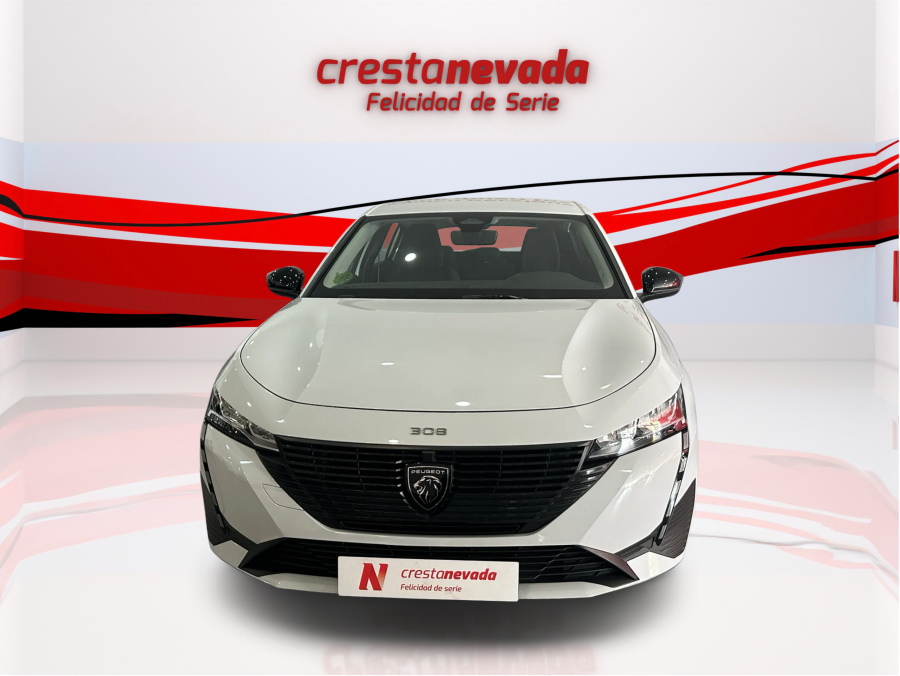 Imagen de Peugeot 308