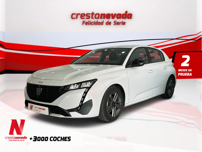 Imagen de Peugeot 308