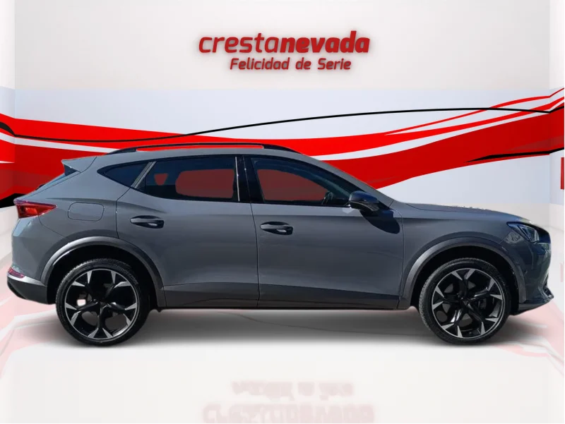 Imagen de cupra Formentor