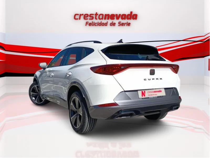 Imagen de cupra Formentor