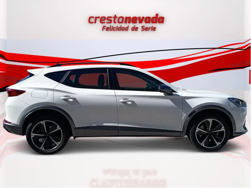 Imagen de cupra Formentor