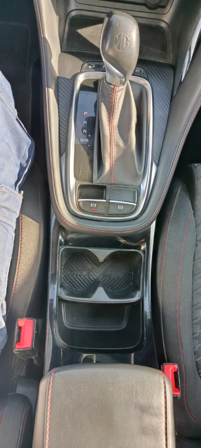 Imagen de Mg ZS