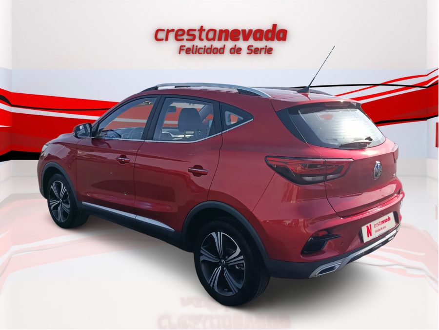 Imagen de Mg ZS