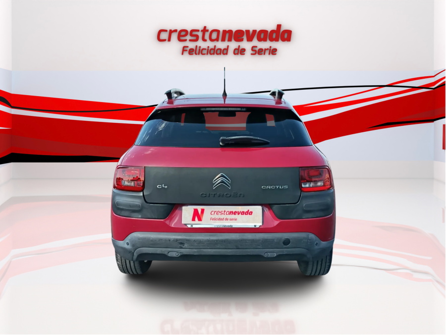 Imagen 6 de CITROEN C4 Cactus Diesel 99 CV