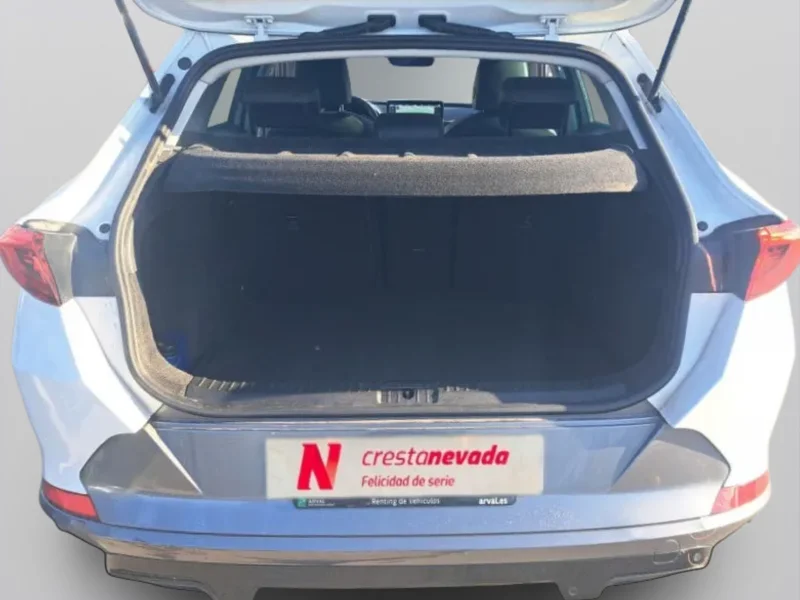 Imagen de cupra Formentor