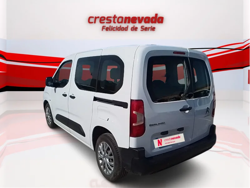Imagen de CITROEN Berlingo