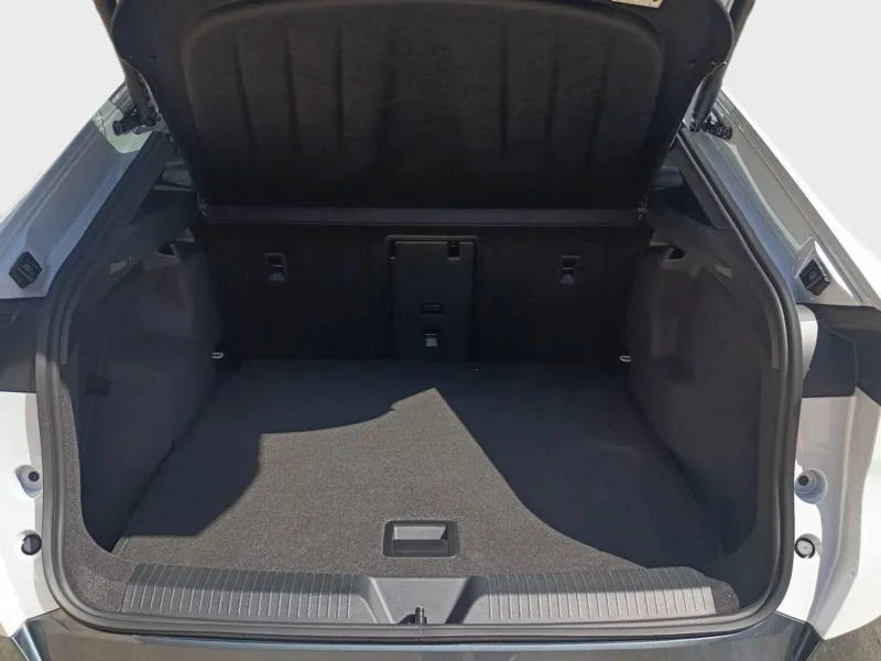 Imagen de cupra Tavascan