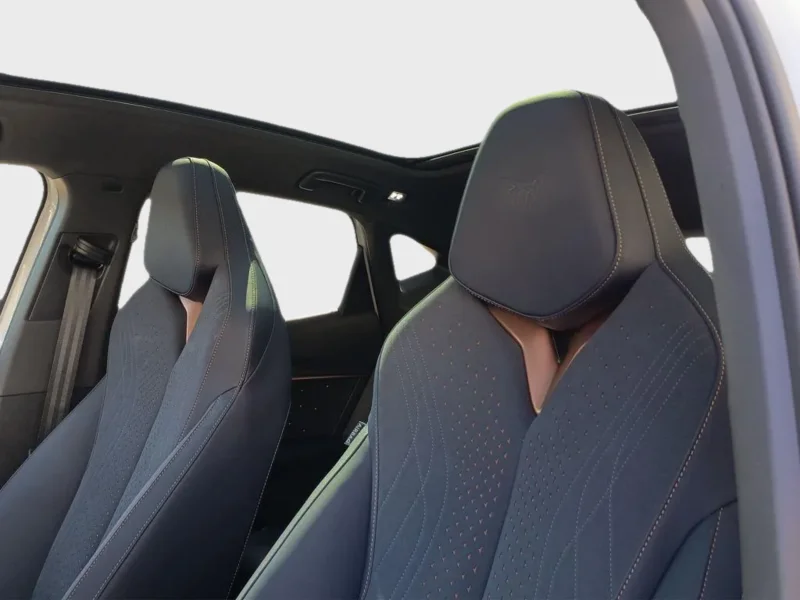 Imagen de cupra Tavascan