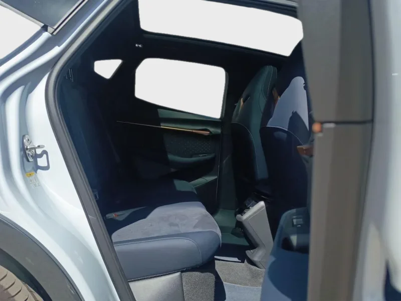 Imagen de cupra Tavascan