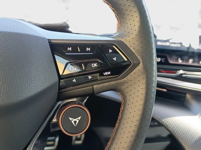 Imagen de cupra Tavascan